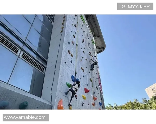 攀岩运动热潮下广州攀岩队如何提升个人能力推动体育变革