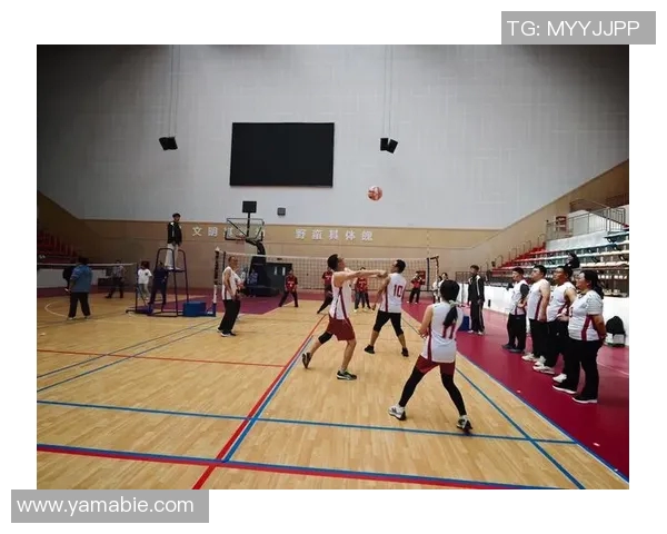 运动最新数据奋战排球场重庆排球队的拼搏历程与荣耀追寻